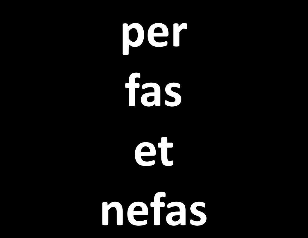 per fas et nefas Logo b-w